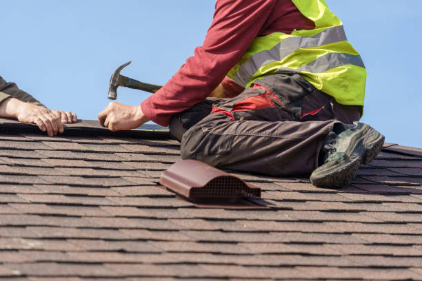 Best Roof Gutter Cleaning  in St Elmo, IL