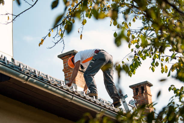 Best Heating Cable for Roof Installation  in St Elmo, IL