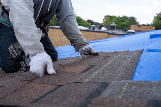Best Commercial Roofing Services  in St Elmo, IL