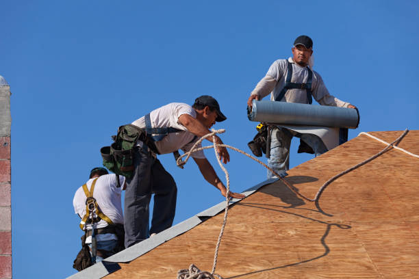Best Roof Leak Repair  in St Elmo, IL