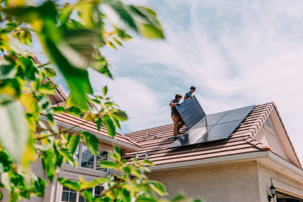 Best Flat Roof Repair Services  in St Elmo, IL